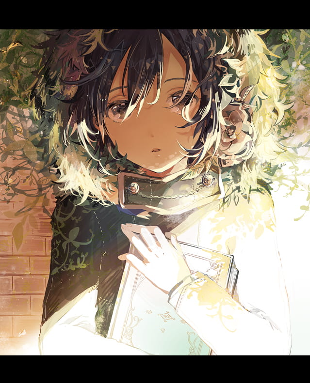 每日手机壁纸推荐20190130期(1)