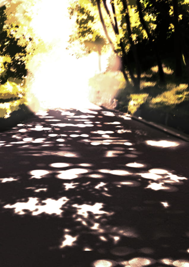 每日手机壁纸推荐20190130期(1)