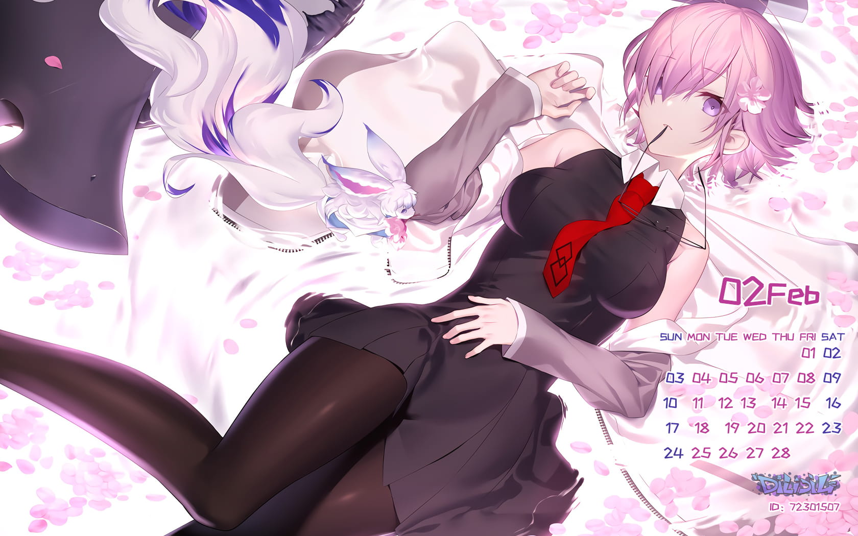 2019年2月 手机&电脑 壁纸&桌面！收好啦！