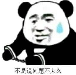 你好，请戴上手铐跟我们走一趟