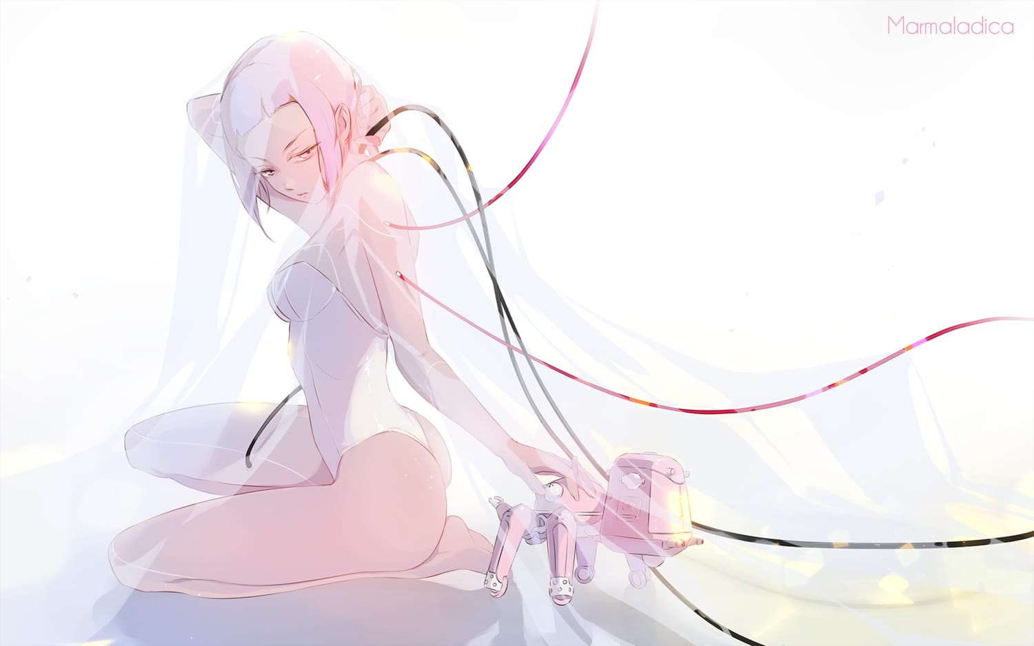 每日k站壁纸推荐第20190213期(1)