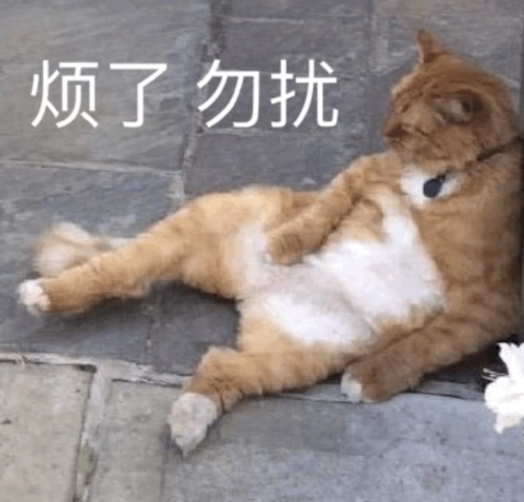 搞笑小猫表情包