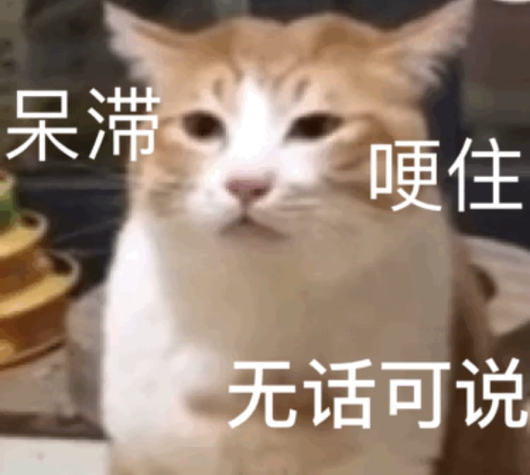搞笑小猫表情包