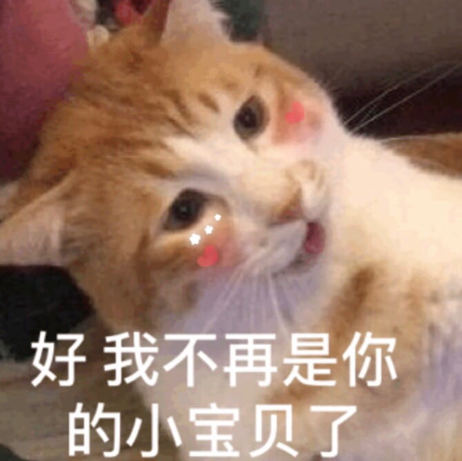搞笑小猫表情包