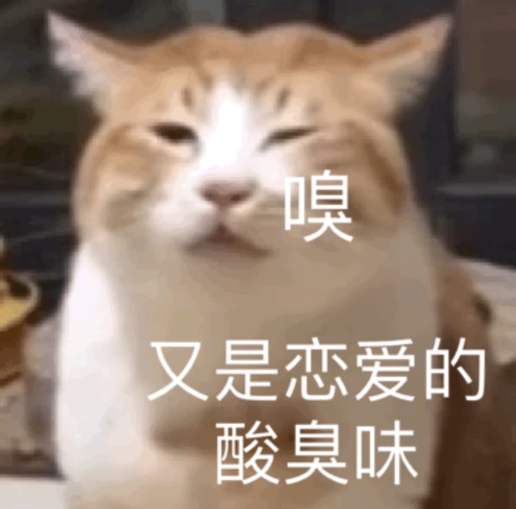 搞笑小猫表情包