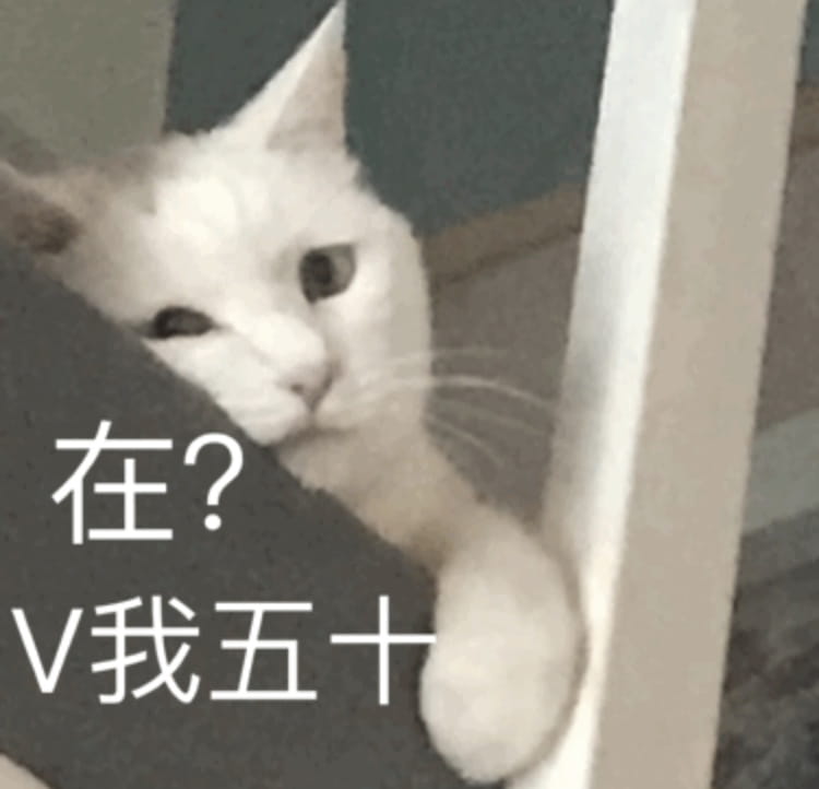 搞笑小猫表情包