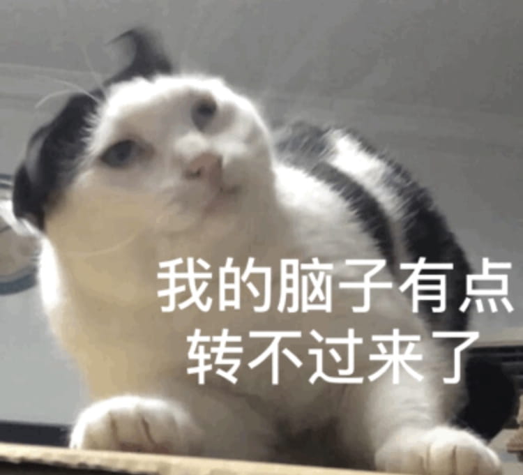 搞笑小猫表情包