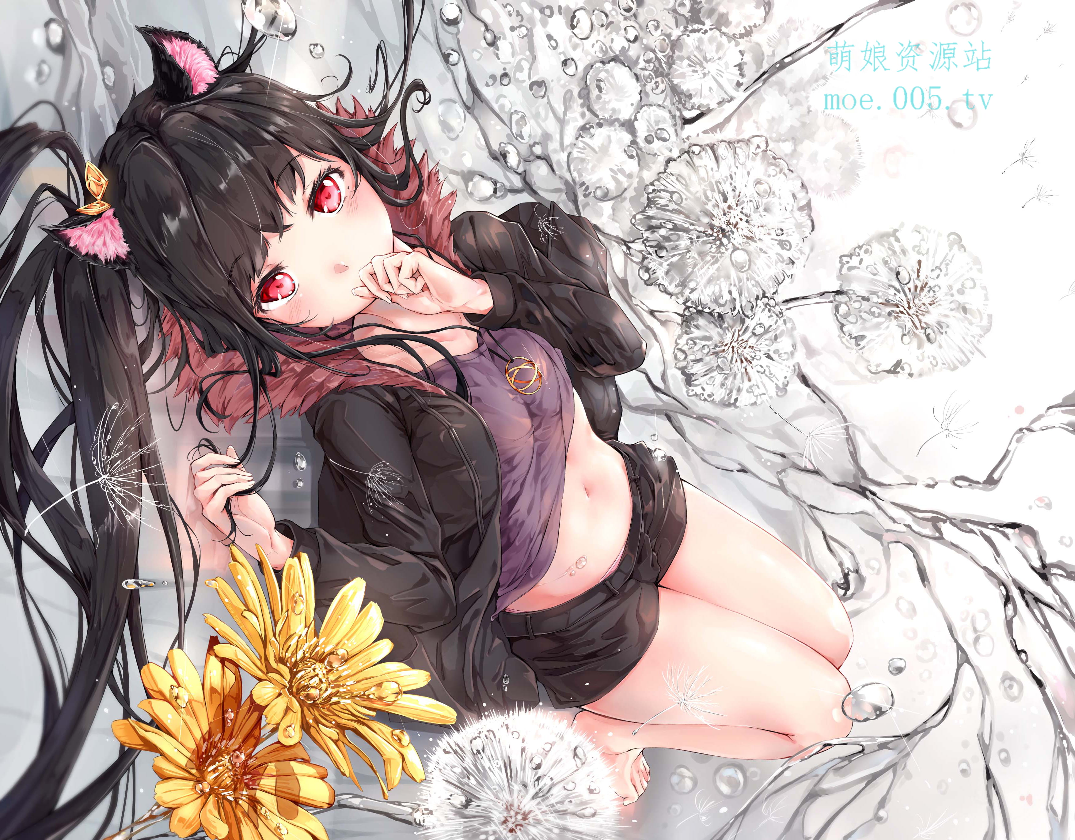 每日手机壁纸推荐第20190222期(1)