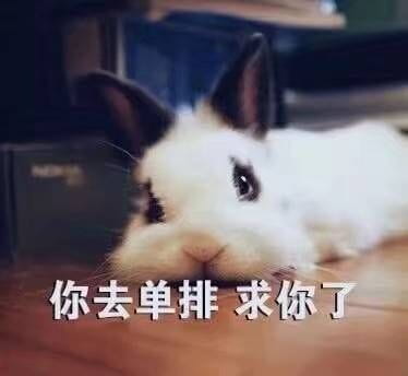 开启死亡带妹模式--沙雕表情系列