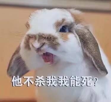 开启死亡带妹模式--沙雕表情系列