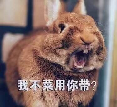 开启死亡带妹模式--沙雕表情系列