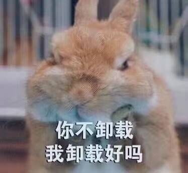 开启死亡带妹模式--沙雕表情系列