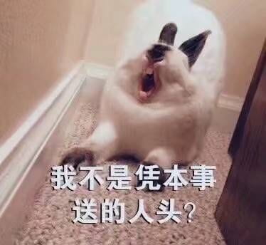 开启死亡带妹模式--沙雕表情系列