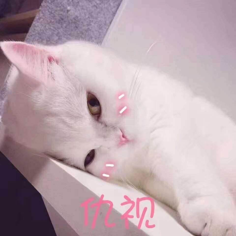 女朋友？有猫就够了--表情(1)