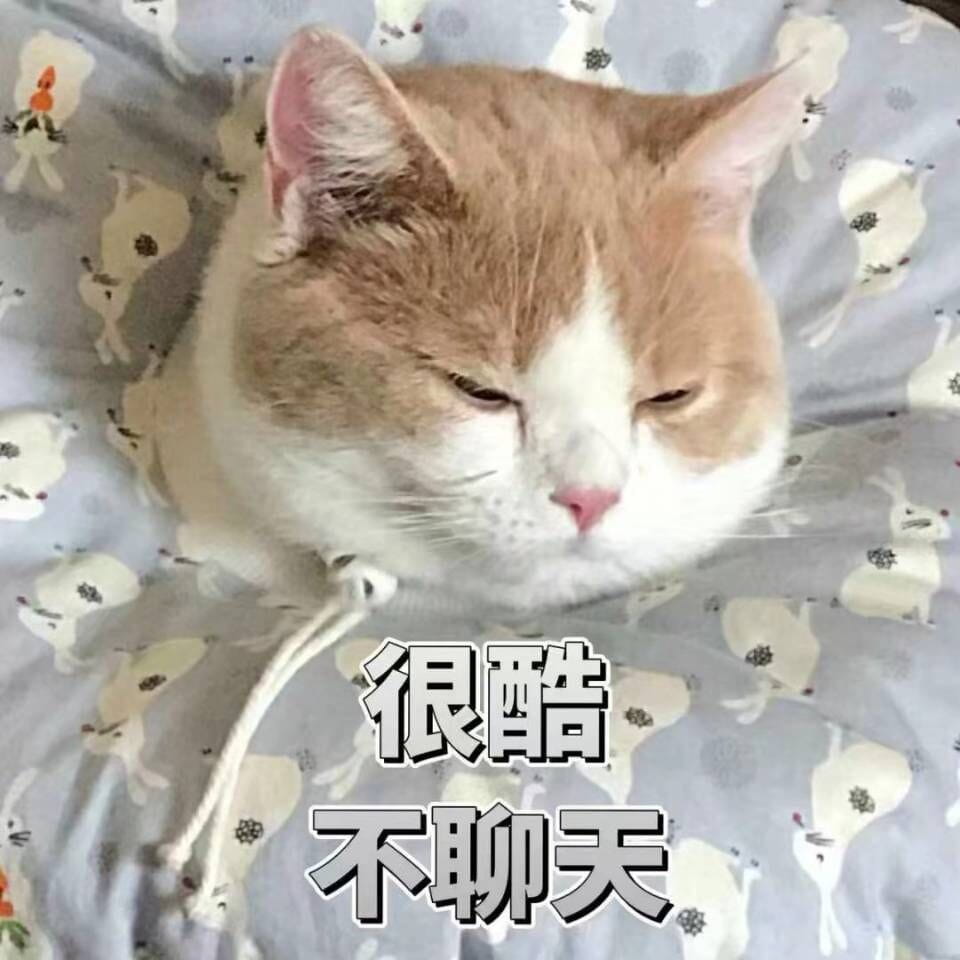 女朋友？有猫就够了--表情(1)