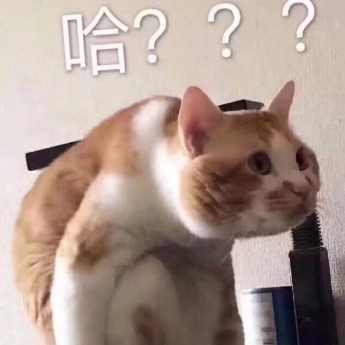 女朋友？有猫就够了--表情(1)