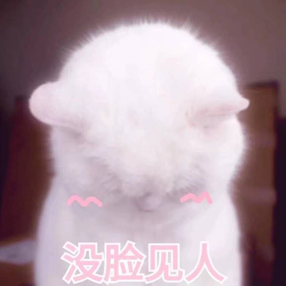 女朋友？有猫就够了--表情(1)