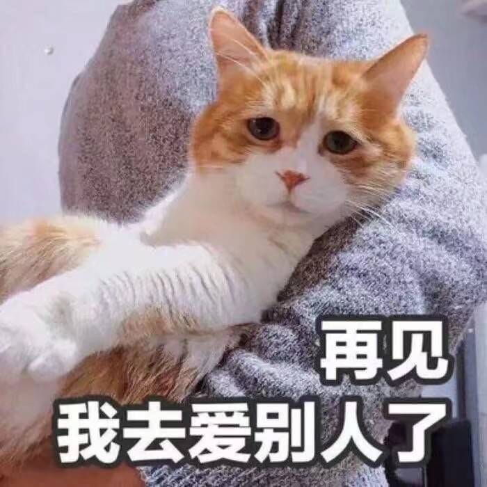 女朋友？有猫就够了--表情(1)