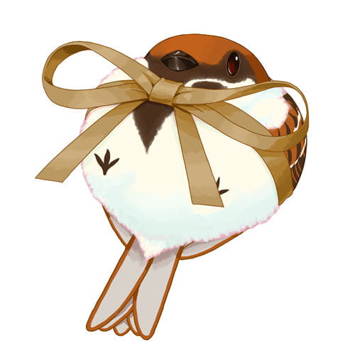 送给你的礼物♡丝带特辑(1)