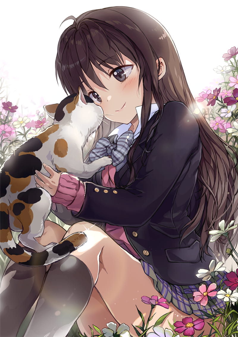 少女与猫福利本子图--每日P站动漫壁纸美图推荐0305期(1)