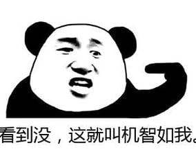 少女与猫福利本子图--每日P站动漫壁纸美图推荐0305期(1)