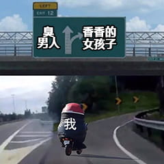 最全抖音无水印分叉路口高速右转表情包熊本熊沙雕斗图