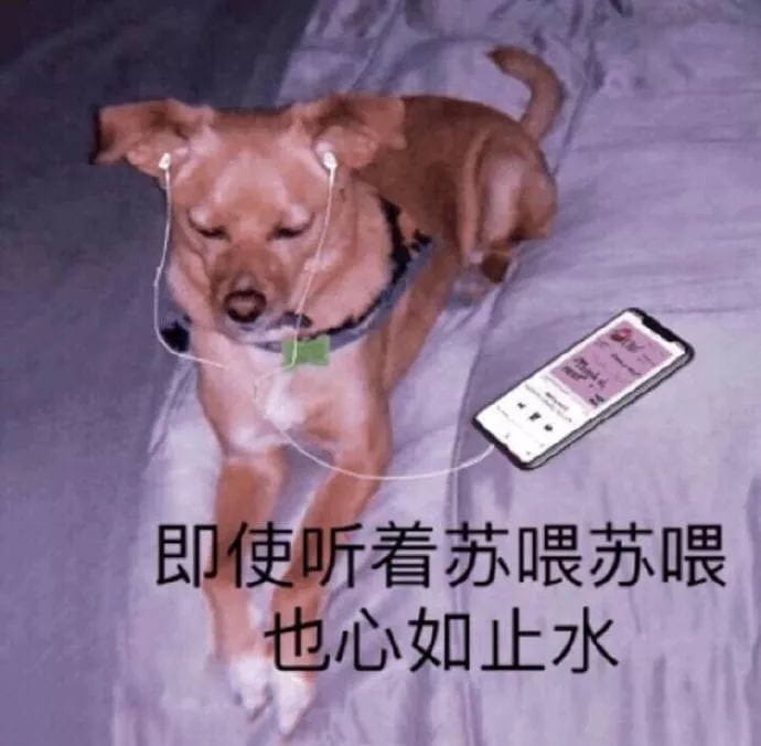 好好鬼混不谈恋爱——沙雕斗图表情