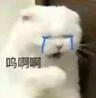 好好鬼混不谈恋爱——沙雕斗图表情