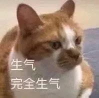 好好鬼混不谈恋爱——沙雕斗图表情