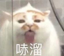 撩妹可爱呆萌猫斗图沙雕表情包