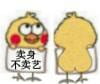 小黄鸡换衣服表情包