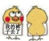 小黄鸡换衣服表情包