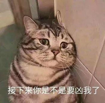 撩妹可爱呆萌猫斗图沙雕表情包第二弹