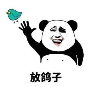 放鸽子搞笑斗图表情包