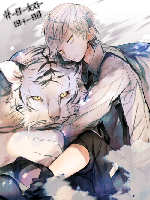 《文豪野犬第三季》动漫壁纸推荐(1)