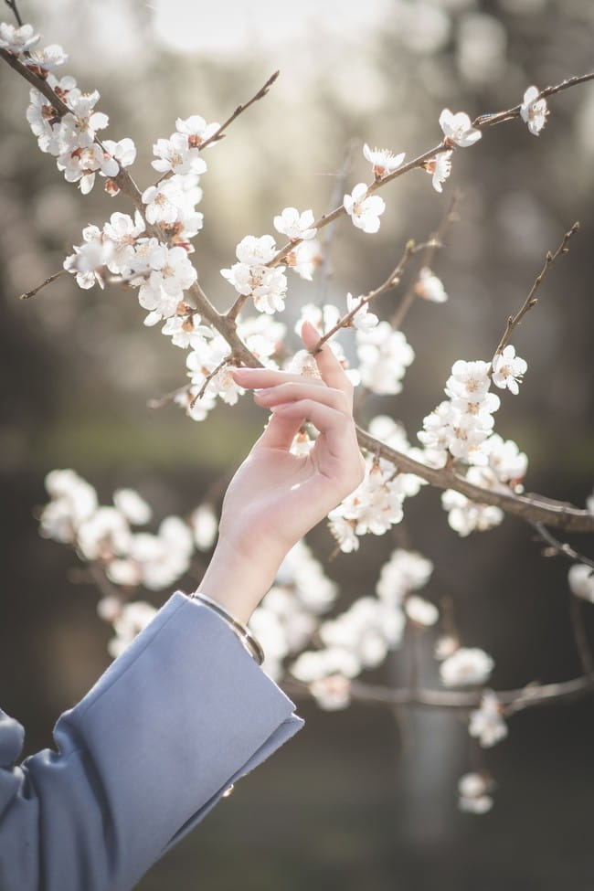 北方的春天来得晚 JK