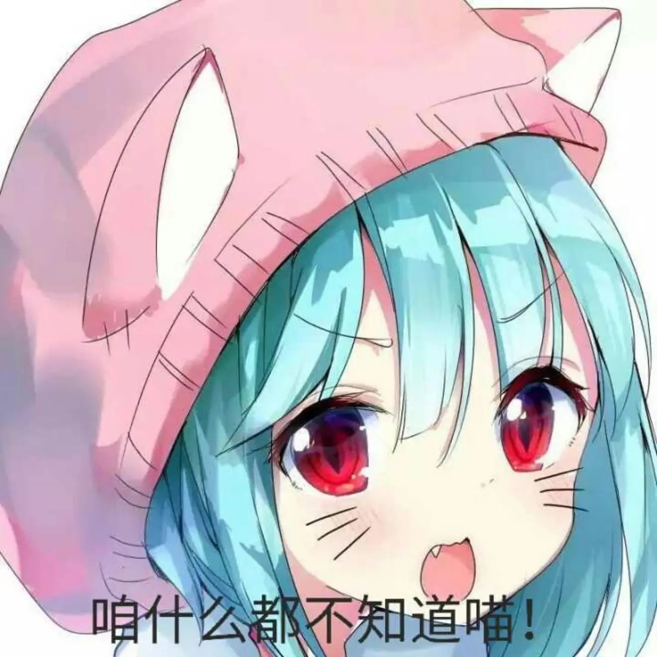 老子真可爱--可爱动漫斗图表情校园第29弹