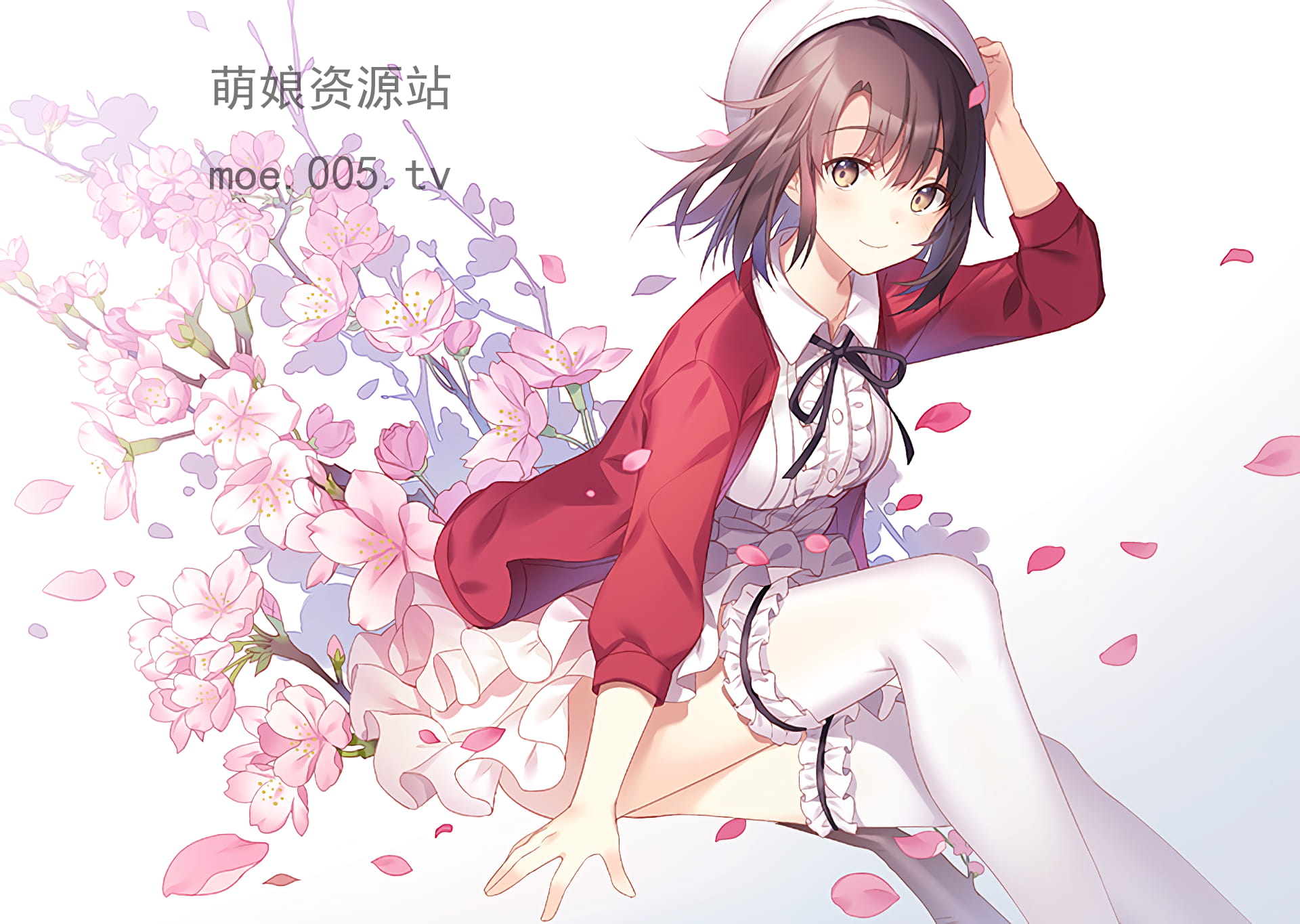 电脑高清P站壁纸推荐20190620期(1)