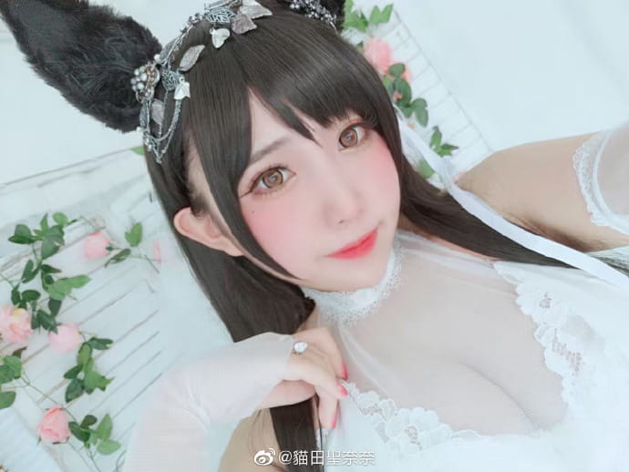 碧蓝航线cos 爱宕犬