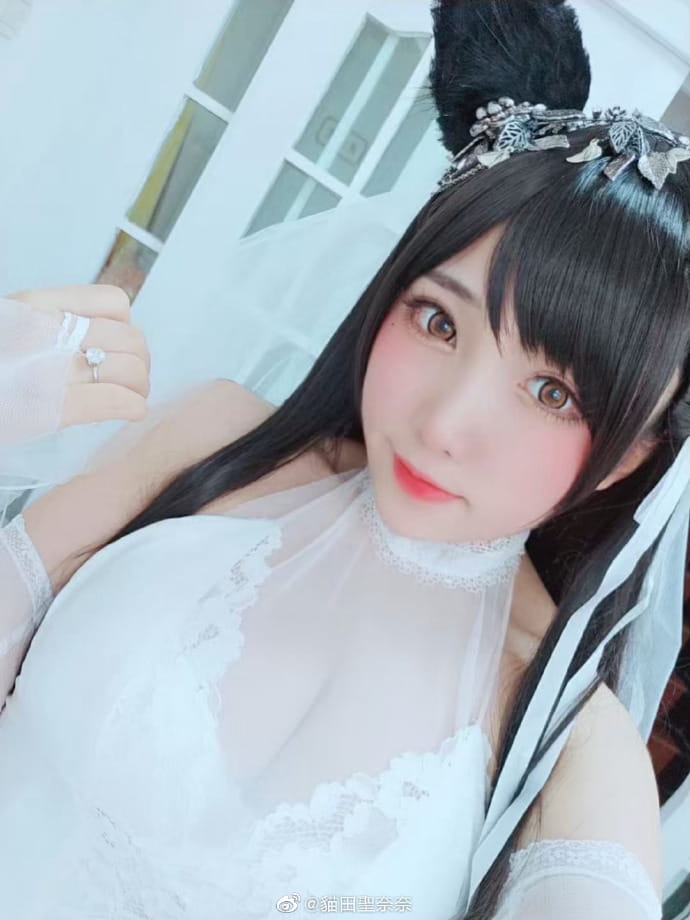 碧蓝航线cos 爱宕犬