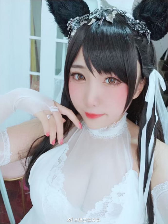 碧蓝航线cos 爱宕犬