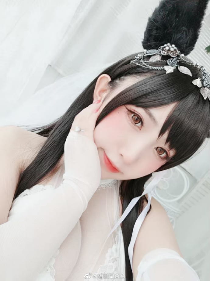 碧蓝航线cos 爱宕犬