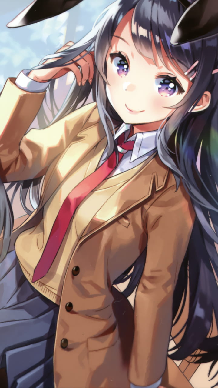 青春期笨蛋不做兔女郎学姐手机壁纸