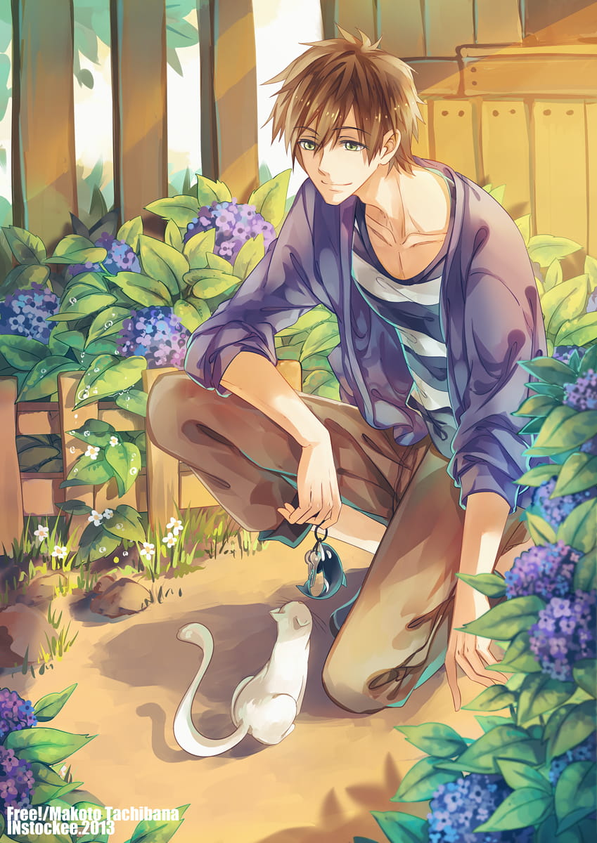 Free!男子游泳部 动漫手机壁纸