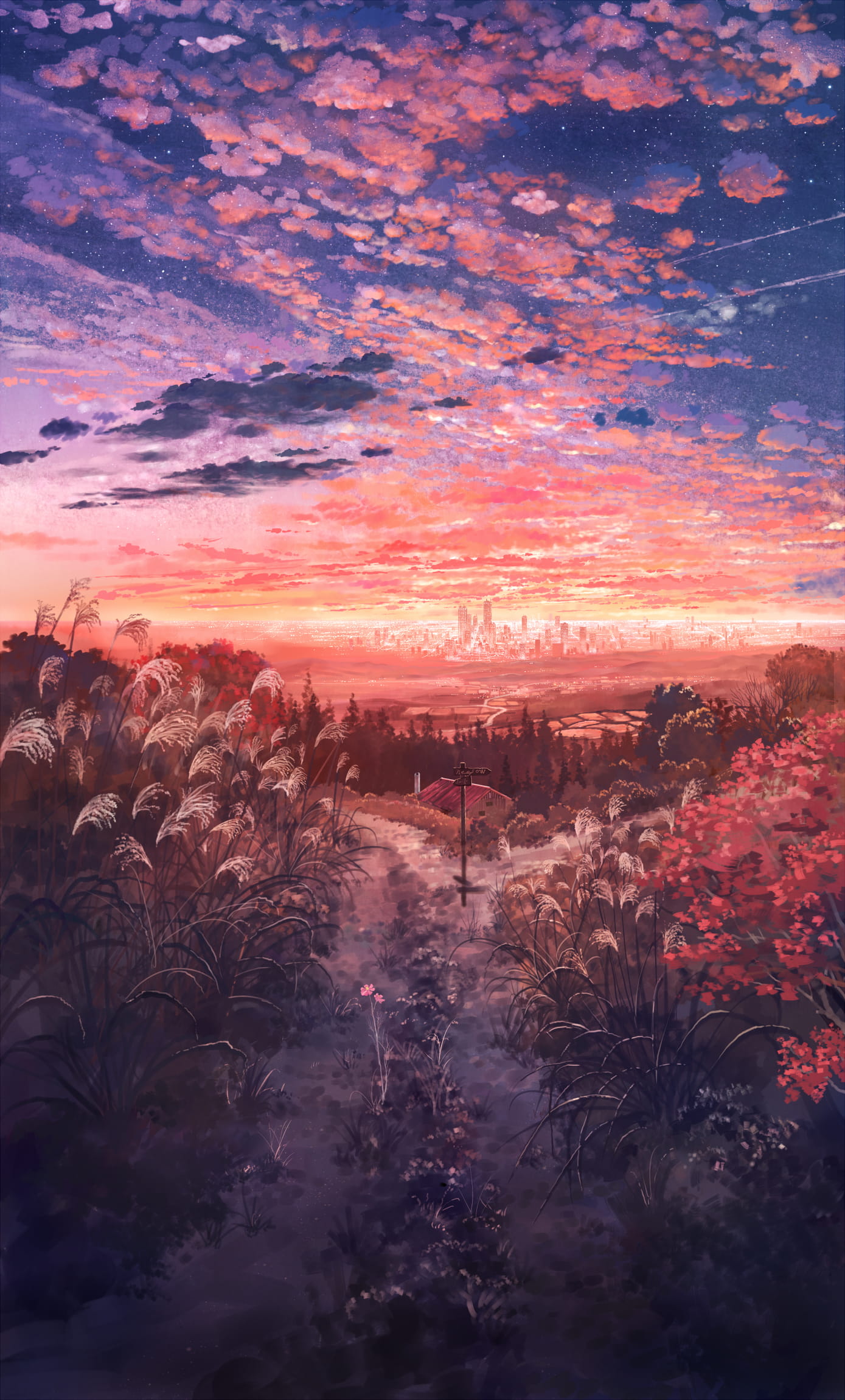 P站画师コーラ作品 手机动漫壁纸