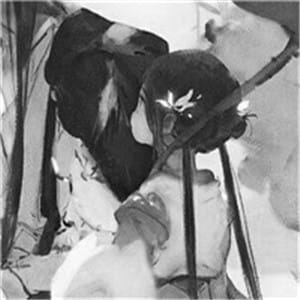 高清动漫情侣头像一对两张