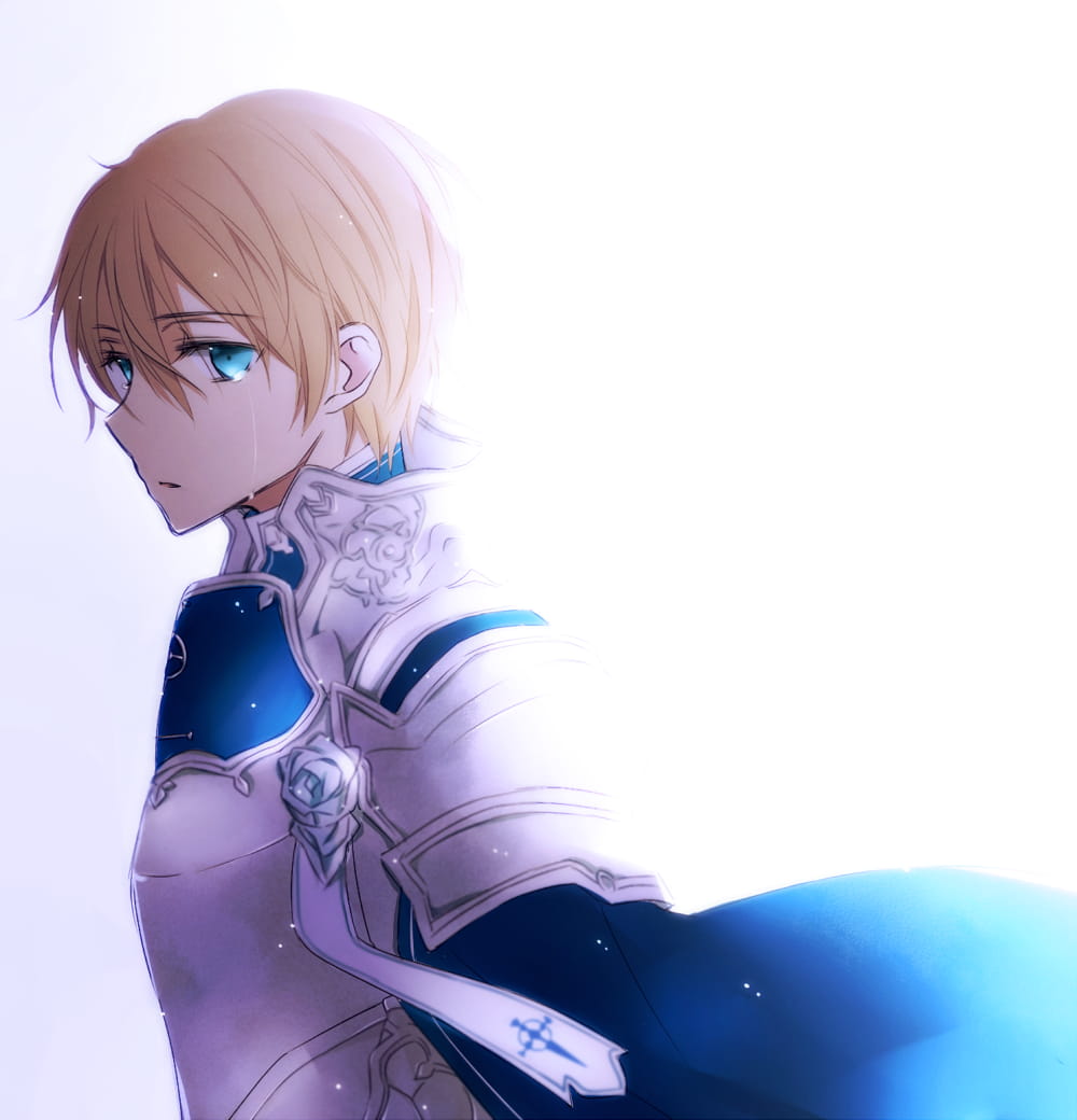 刀剑神域 手机动漫壁纸（一）