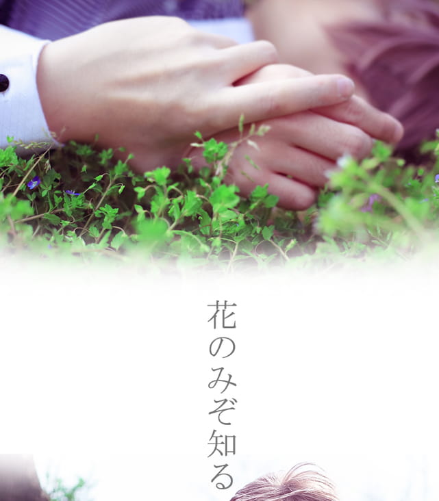 【授权COS】花のみぞ知る—只有花知晓