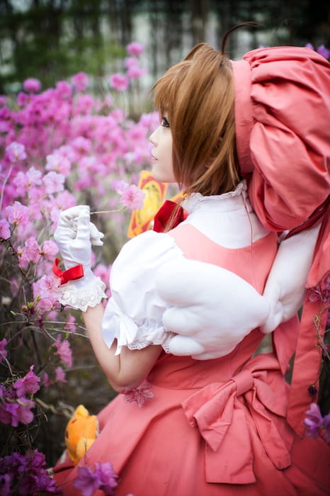 【COS】还原度超高超可爱的木之本樱