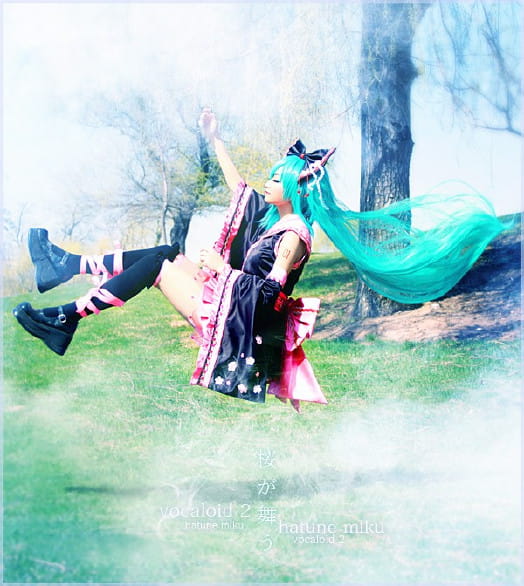 【COS】MIKU-樱花飞舞